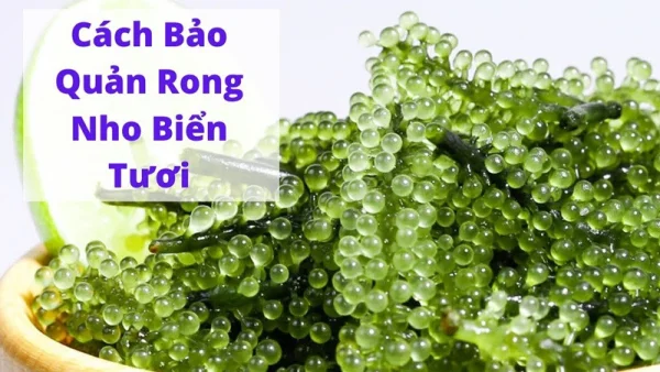 Cách bảo quản rong nho tươi ngon, chuẩn vị rong biển