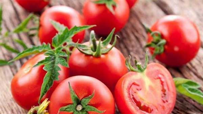 Cà chua chín chứa nhiều chất dinh dưỡng với bà bầu
