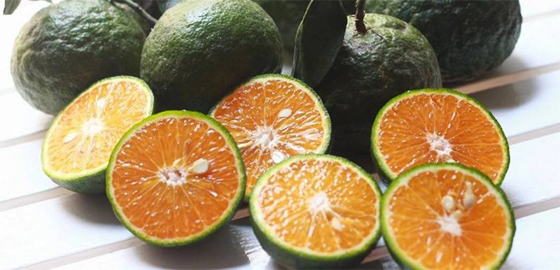 Cam - trái cây bổ sung nhiều vitamin