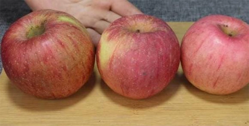 Chọn những quả táo dáng đều, không bị méo mó biến dạng