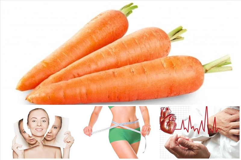 Cà rốt có rất nhiều tác dụng tốt đối với sức khỏe và làm đẹp