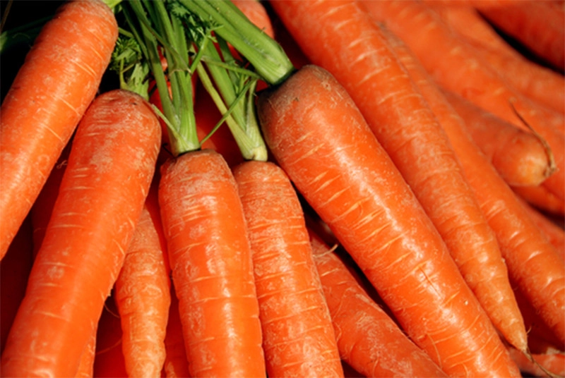 Cà rốt có vỏ ngoài trơn láng, không bị cong vẹo