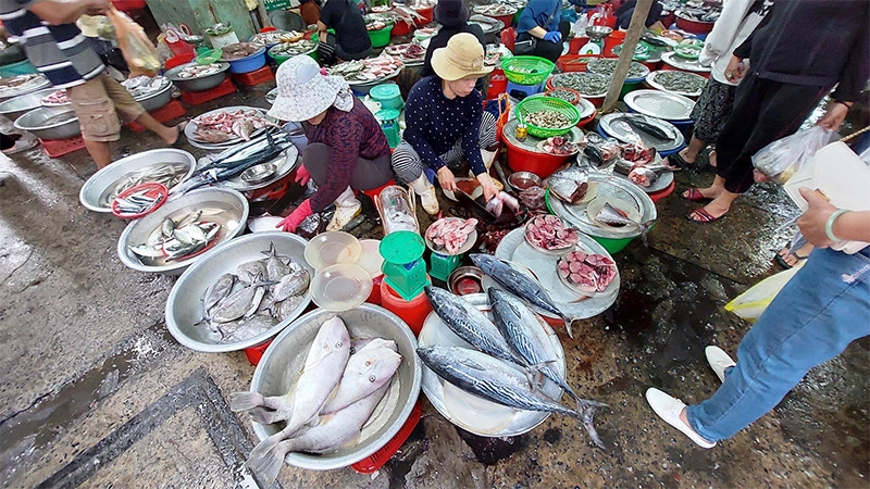 Lưu ý mua cá vào buổi sáng sớm để chọn cá tươi