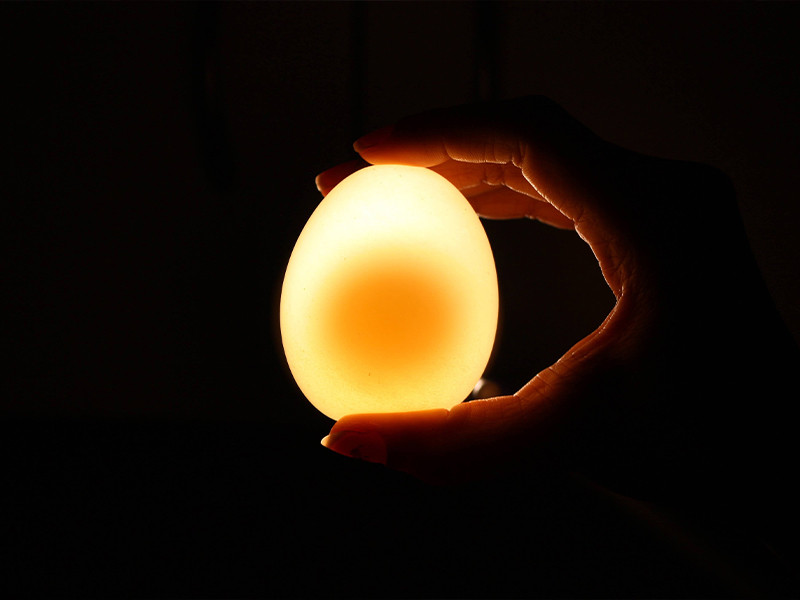 Soi trứng vịt lộn dưới ánh sáng để xác định độ non già