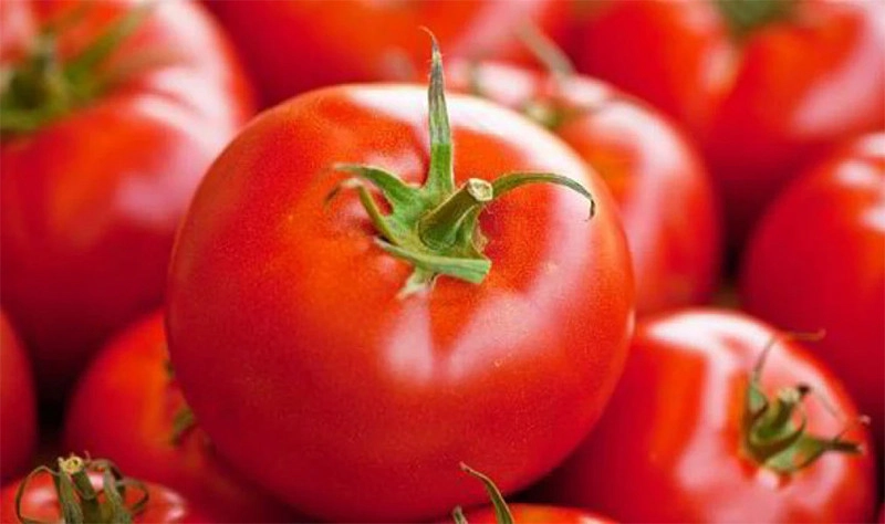 Chọn cà chua có hình dáng cân đối, đều đặn