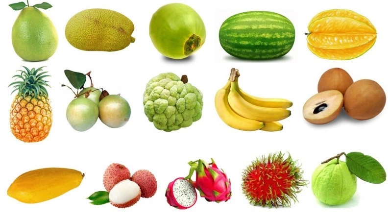 Mỗi loại trái cây có hình dáng đặc trưng riêng