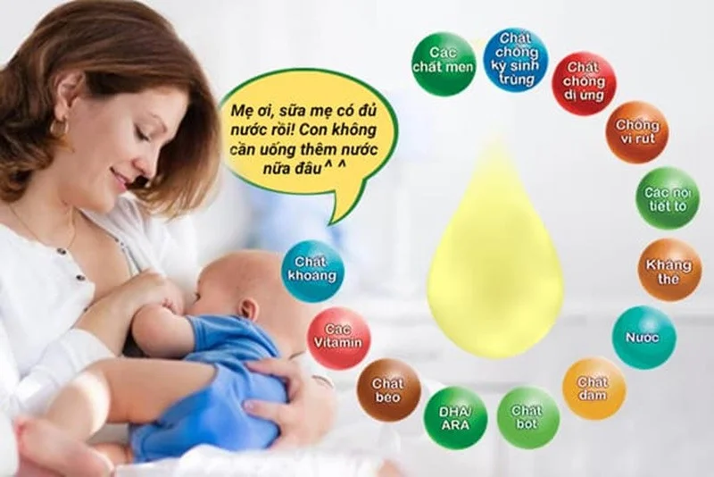 Sữa mẹ đóng vai trò quan trọng trong thời gian đầu đời của trẻ