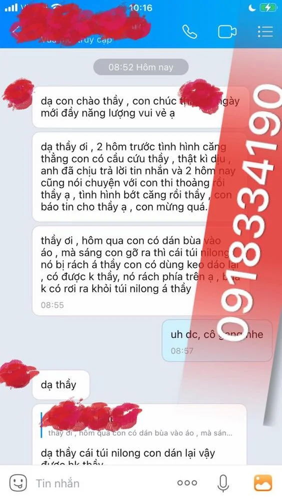 Cây ngải bùa là gì?